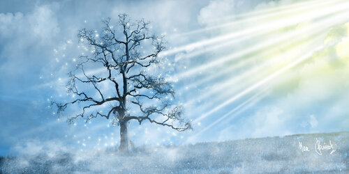 Arbre  astralien en pleine floraison by Max Parisot du Lyaumont, Digital for Sale on Singulart