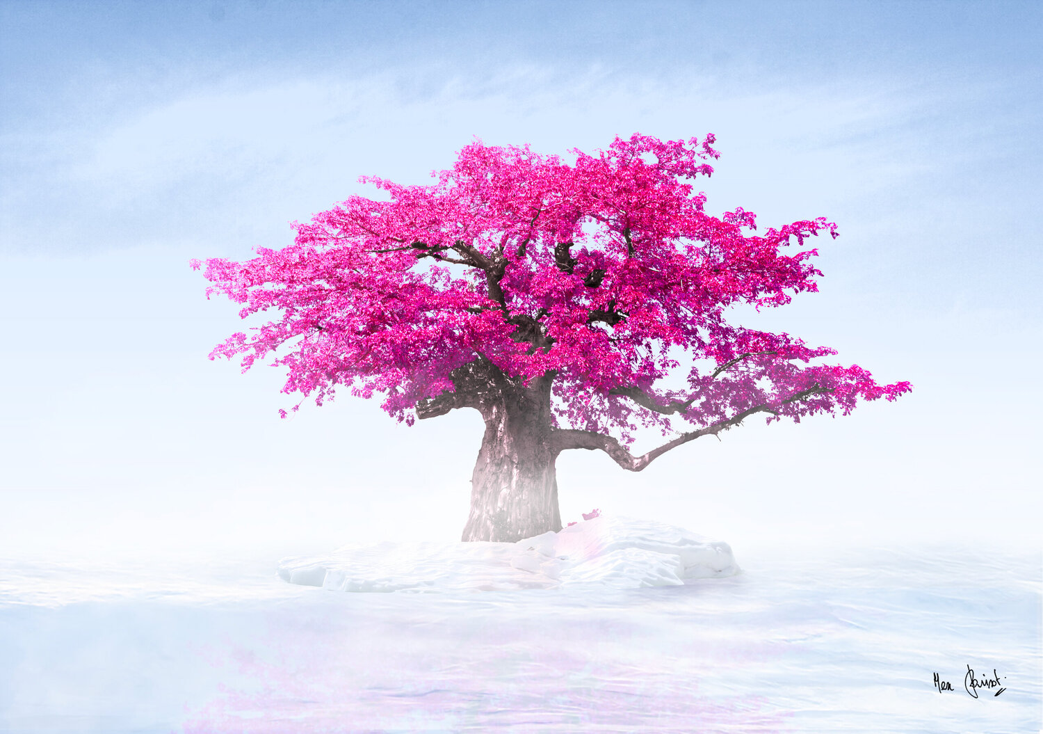 Arbre en floraison au dessus d'une mer de glace Max Parisot du Lyaumont Digital zu verkaufen