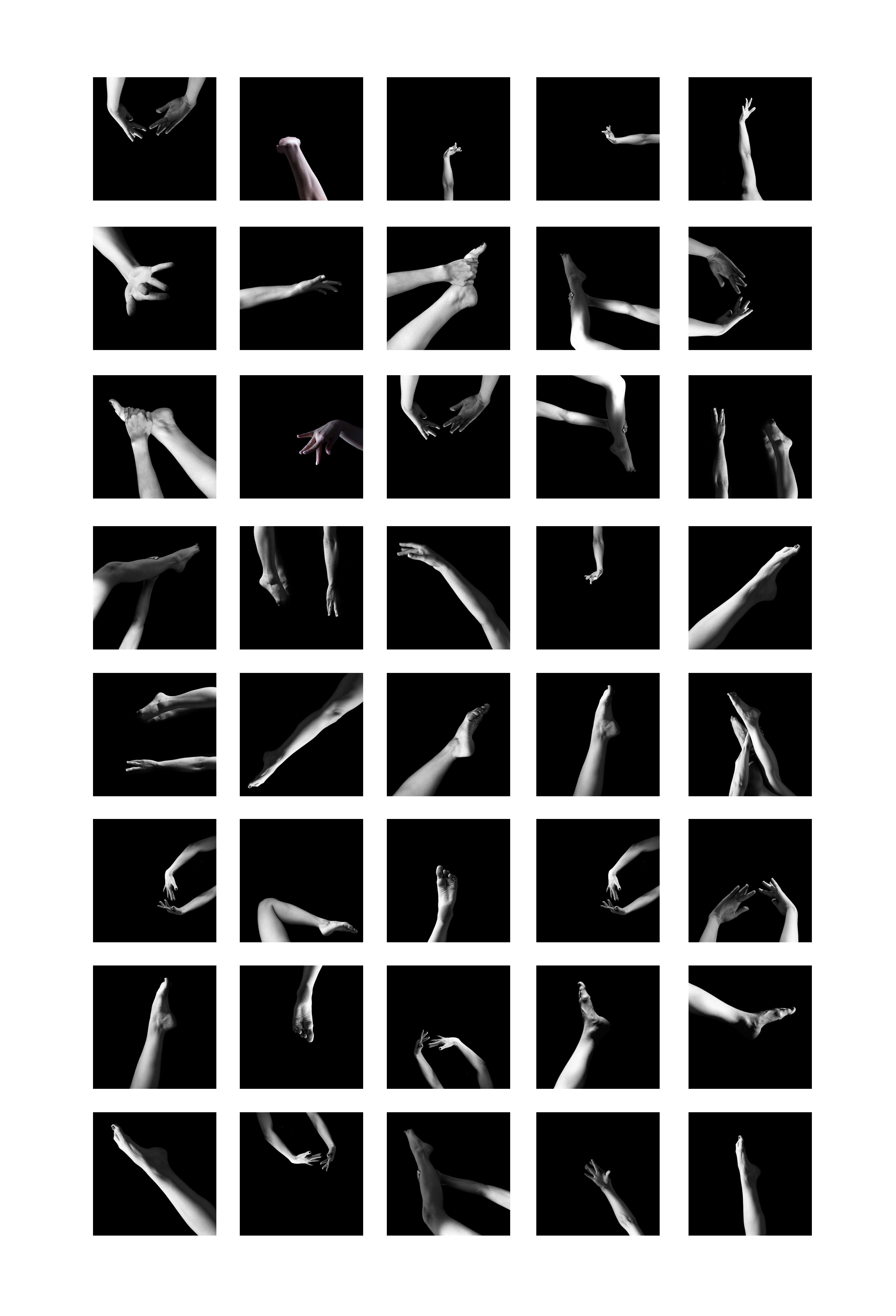 手の言語