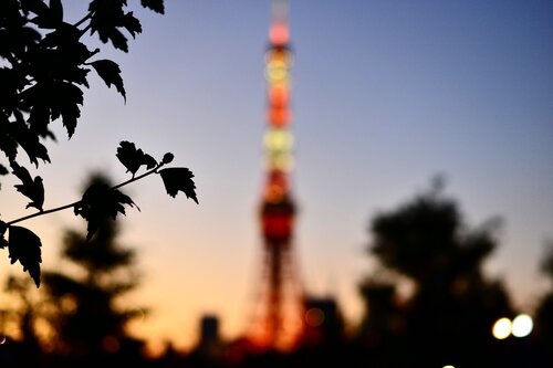 TOKYO VERMILION von Atsumi Takemoto, Druck kaufen auf Singulart