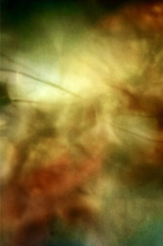 passionate van Atsumi Takemoto, Fotografie te koop op Singulart