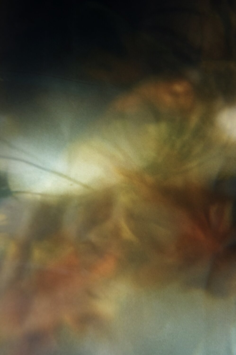 growing Atsumi Takemoto Photography for sale