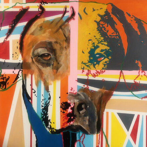 Rhodesian Ridgeback Maximilian Lochner "Lomax"