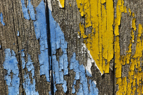 Esperimento 4 di Alessio Miranda, Digitale in vendita su Singulart