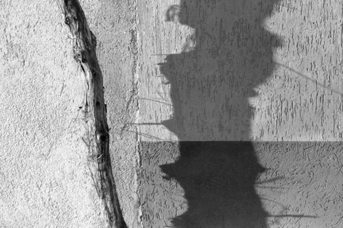 Singole 3 by Alessio Miranda, Photography for Sale on Singulart