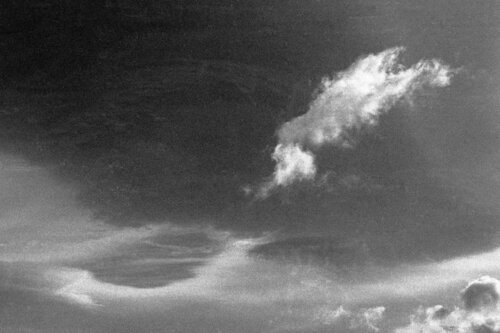 Come di velluto 5 de Alessio Miranda, Fotografía a la venta en Singulart