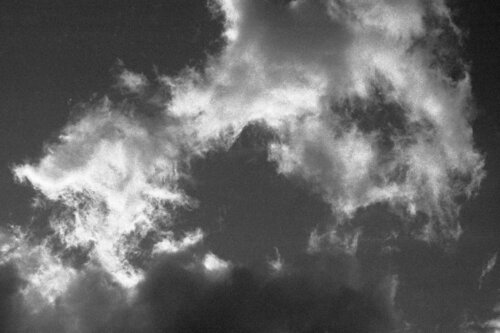 Come di velluto 6 de Alessio Miranda, Fotografía a la venta en Singulart
