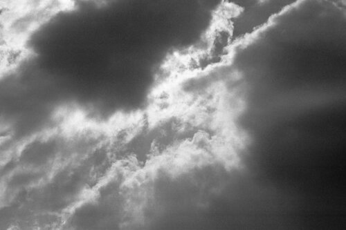Come di velluto 7 de Alessio Miranda, Fotografía a la venta en Singulart