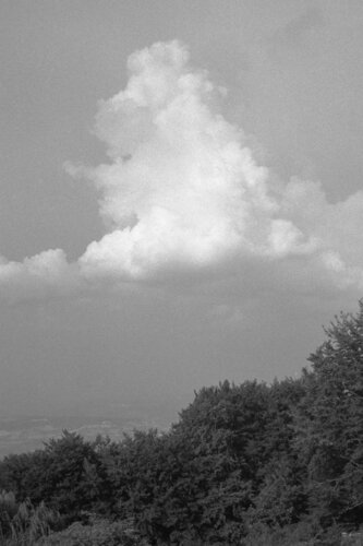 Paesaggio 7 di Alessio Miranda, Fotografia in vendita su Singulart
