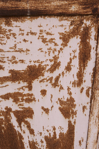 Esperimento 13 by Alessio Miranda, 디지털 for Sale on Singulart