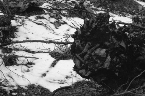 Ricerca nella Natura 15 di Alessio Miranda, Fotografia in vendita su Singulart