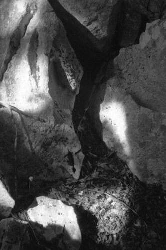 Ricerca nella Natura 17 van Alessio Miranda, Fotografie te koop op Singulart