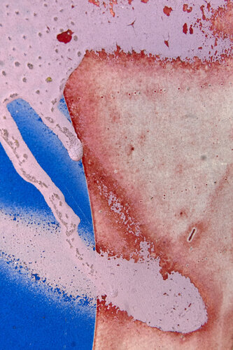 Esperimento 23 van Alessio Miranda, Digitaal te koop op Singulart