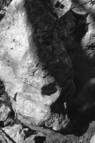 Ricerca nella Natura 23 di Alessio Miranda, Fotografia in vendita su Singulart