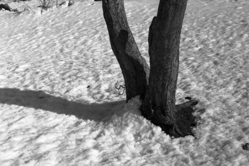 Ricerca nella Natura 25 Alessio Miranda