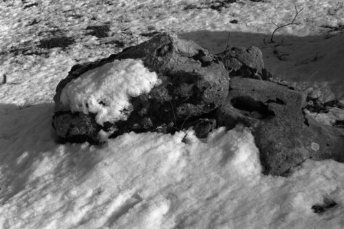 Ricerca nella Natura 26 di Alessio Miranda, Fotografia in vendita su Singulart