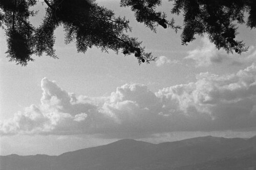 Paesaggio 9 di Alessio Miranda, Fotografia in vendita su Singulart