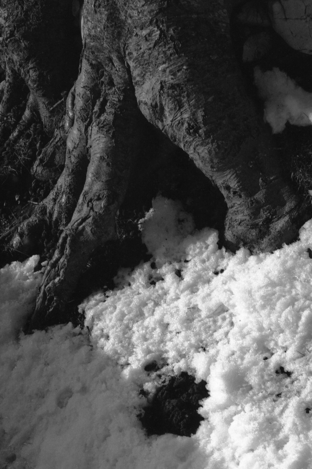 Ricerca nella Natura 7 Alessio Miranda