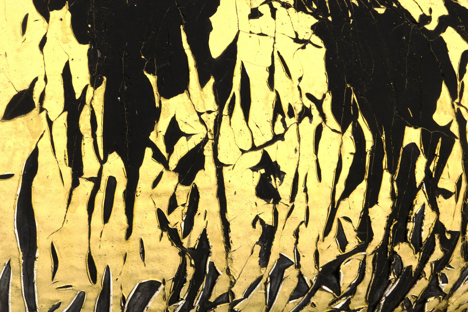 Esperimento 12 Alessio Miranda