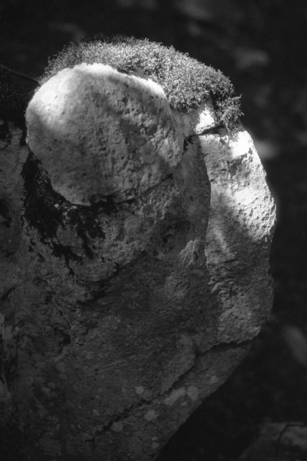 Ricerca nella Natura 11 Alessio Miranda