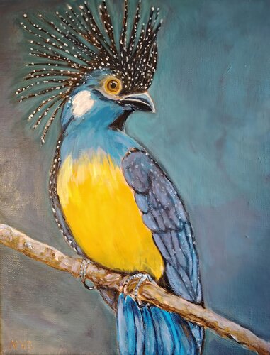 L'oiseau etoilé by Muriel Ho Paintings, Painting for Sale on Singulart