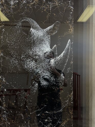 #rhino dots par Dominik Rutz, Peinture en vente sur Singulart