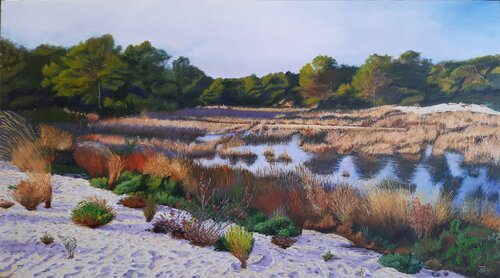 HUMEDAL DE EL SALER di Joaquin Pardo, Pittura in vendita su Singulart