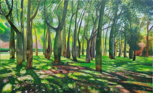 JARDIN DEL TURIA - SAN FELIPE van Joaquin Pardo, Schilderij te koop op Singulart