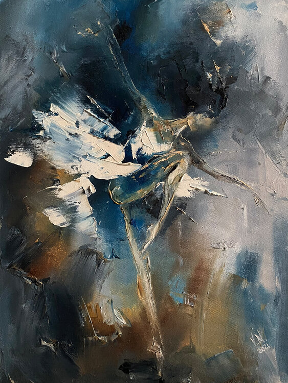 Ballerina 24 Volodymyr (Vladimir) Nezdiimynoha (Nezdiymynoga)