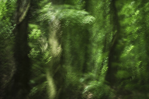 Vert by Frédéric Demeuse, 사진 for Sale on Singulart