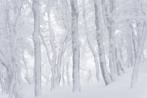 Blanc Frédéric Demeuse