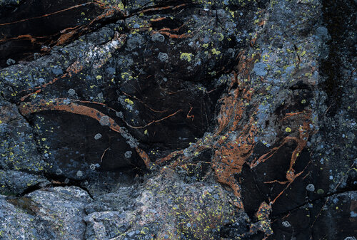 Kandinsky by Frédéric Demeuse, Photography for Sale on Singulart