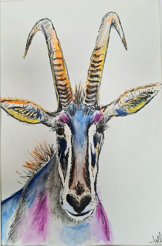 Rappenantilope van Rosie Tretter, Schilderij te koop op Singulart