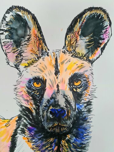Wildhund von Rosie Tretter, Malerei kaufen auf Singulart
