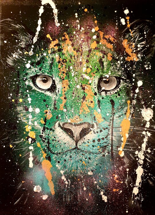 Panthera uncia Rosie Tretter