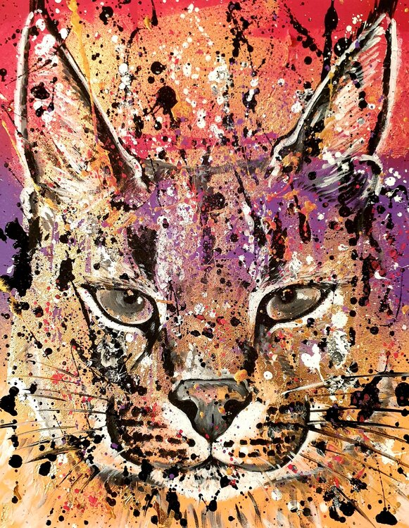 Caracal Rosie Tretter
