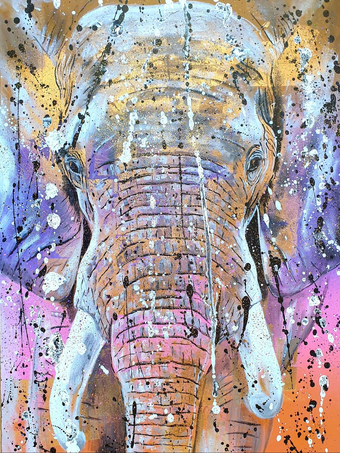 Loxodonta africana Rosie Tretter