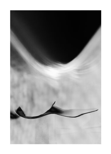 "Niebla que se traga el pasado" van Salva Nebot, Fotografie te koop op Singulart