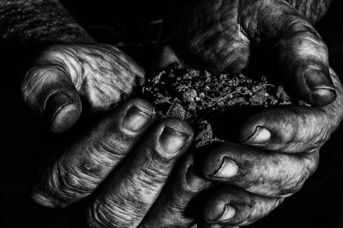 Laboro von Salva Nebot, Fotografie kaufen auf Singulart