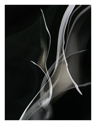 Ethereal whispers von Salva Nebot, Fotografie kaufen auf Singulart