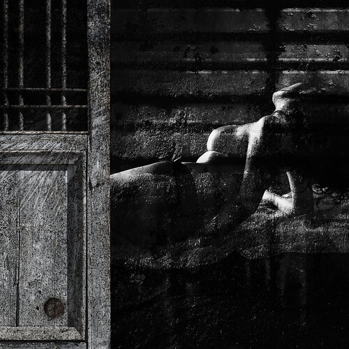ND XX von Salva Nebot, Fotografie kaufen auf Singulart