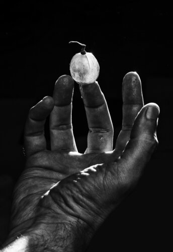 El peso de la luz von Salva Nebot, Fotografie kaufen auf Singulart