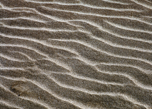 Material Memory X von Salva Nebot, Fotografie kaufen auf Singulart