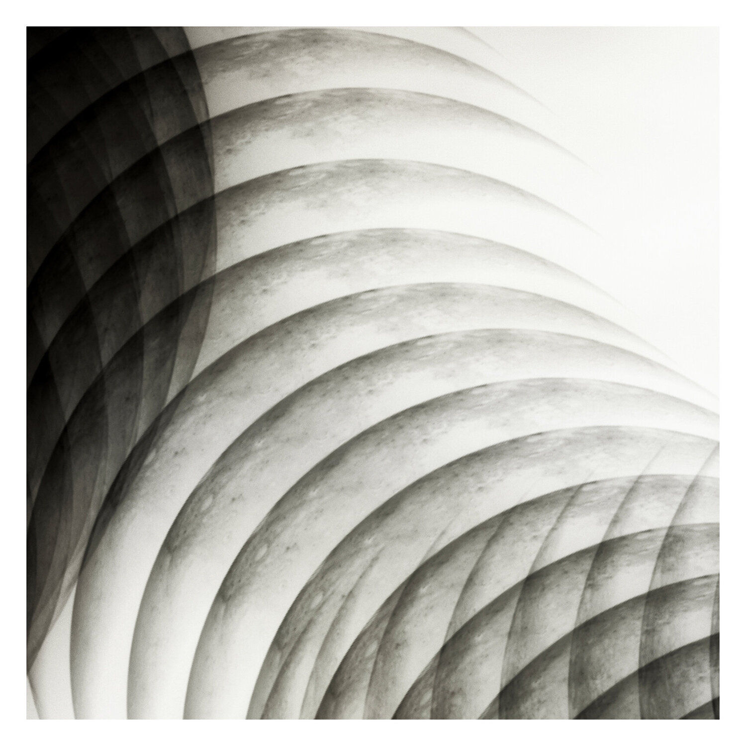 " Danza macabra de la naturaleza " - Pintura digital Salva Nebot Work on Paper for sale