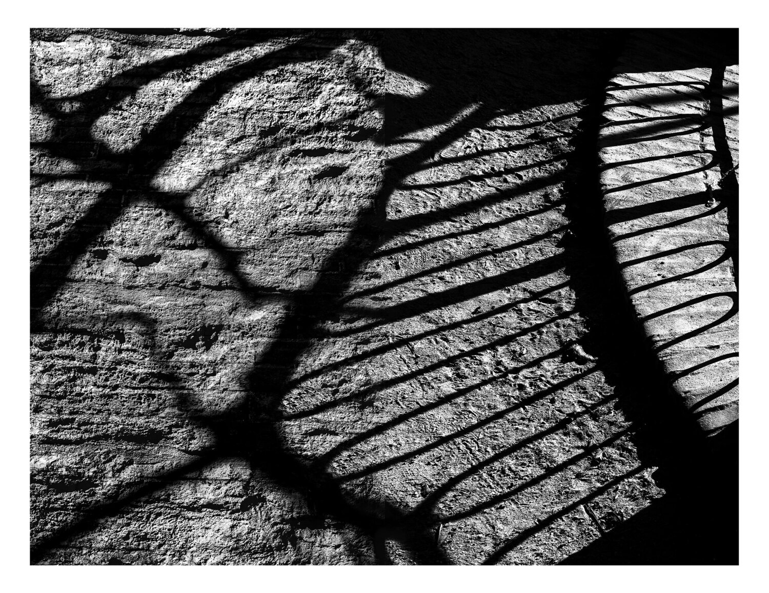 Traces I Salva Nebot