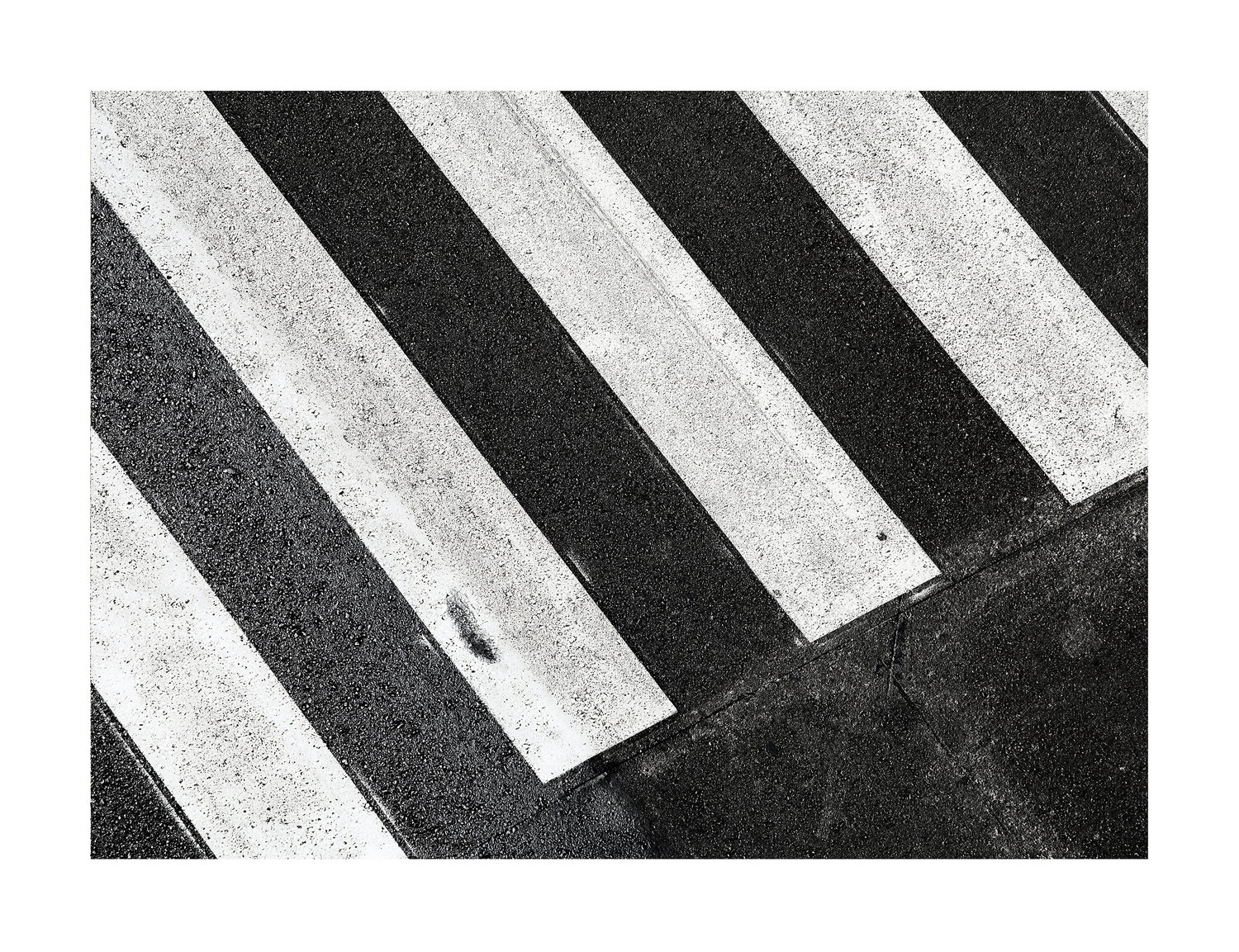 Crossing Salva Nebot