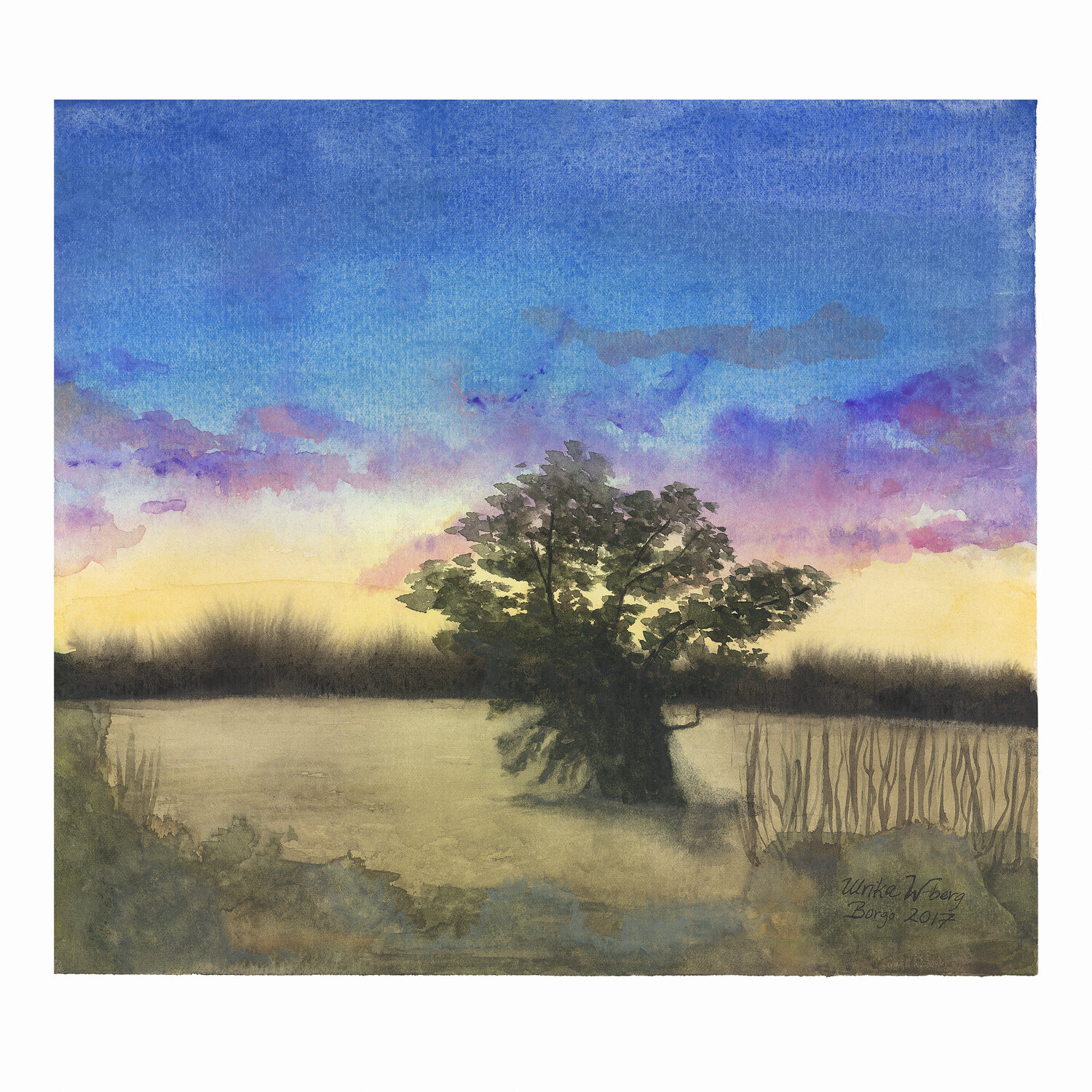 The oak Ulrika Westerberg