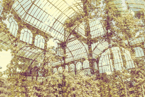 Palacio de cristal y bosque van Jorge Omeñaca, Fotografie te koop op Singulart