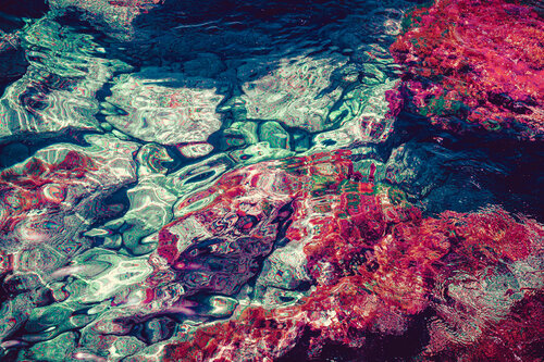 Pink corals von Jorge Omeñaca, Fotografie kaufen auf Singulart