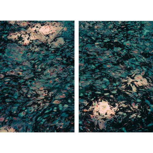 Recuerdos de Monet di Jorge Omeñaca, Fotografia in vendita su Singulart